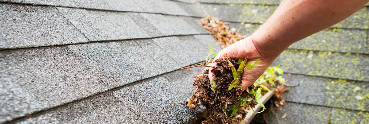 Rodney roof repairs