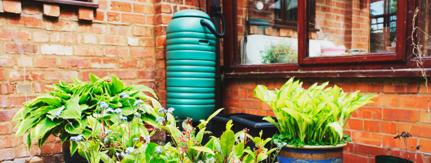New Zealand homeowner installing a rainwater tank and water-efficient fixtures for sustainable living