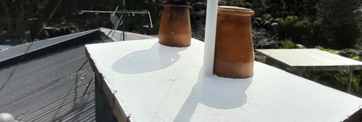 Roof Leak Repairs in Greenhithe, Auckland