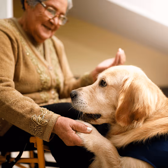 We welcome certified guide and assistance dogs. Certification is required from an approved organisation such as Assistance Dogs, Hearing Dogs for Deaf People NZ or the New Zealand Blind Foundation.