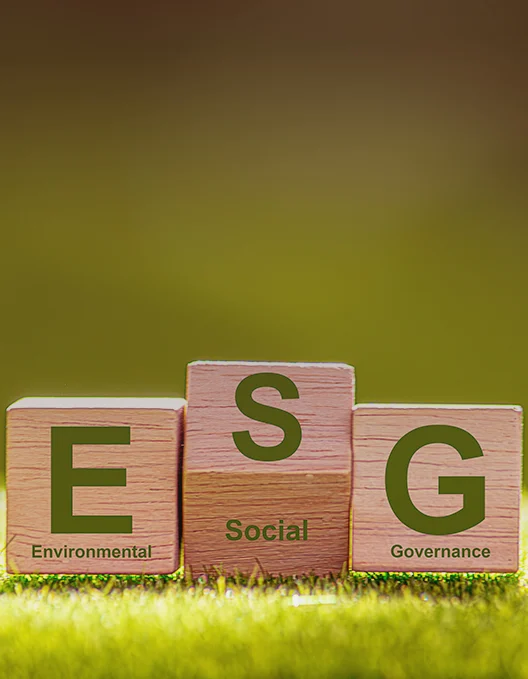 Merifund Capital Management’s integrated ESG advisory represented by wooden blocks symbolising environmental, social and governance.