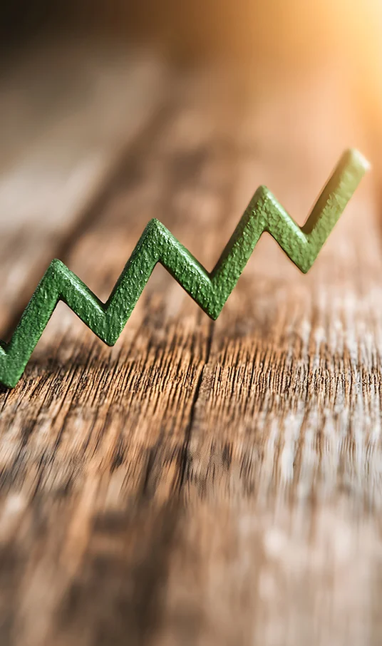 Illustrative depiction of balanced equity growth, symbolising Merifund Capital Management’s approach to identifying undervalued investment opportunities and neutralising market risk exposure.