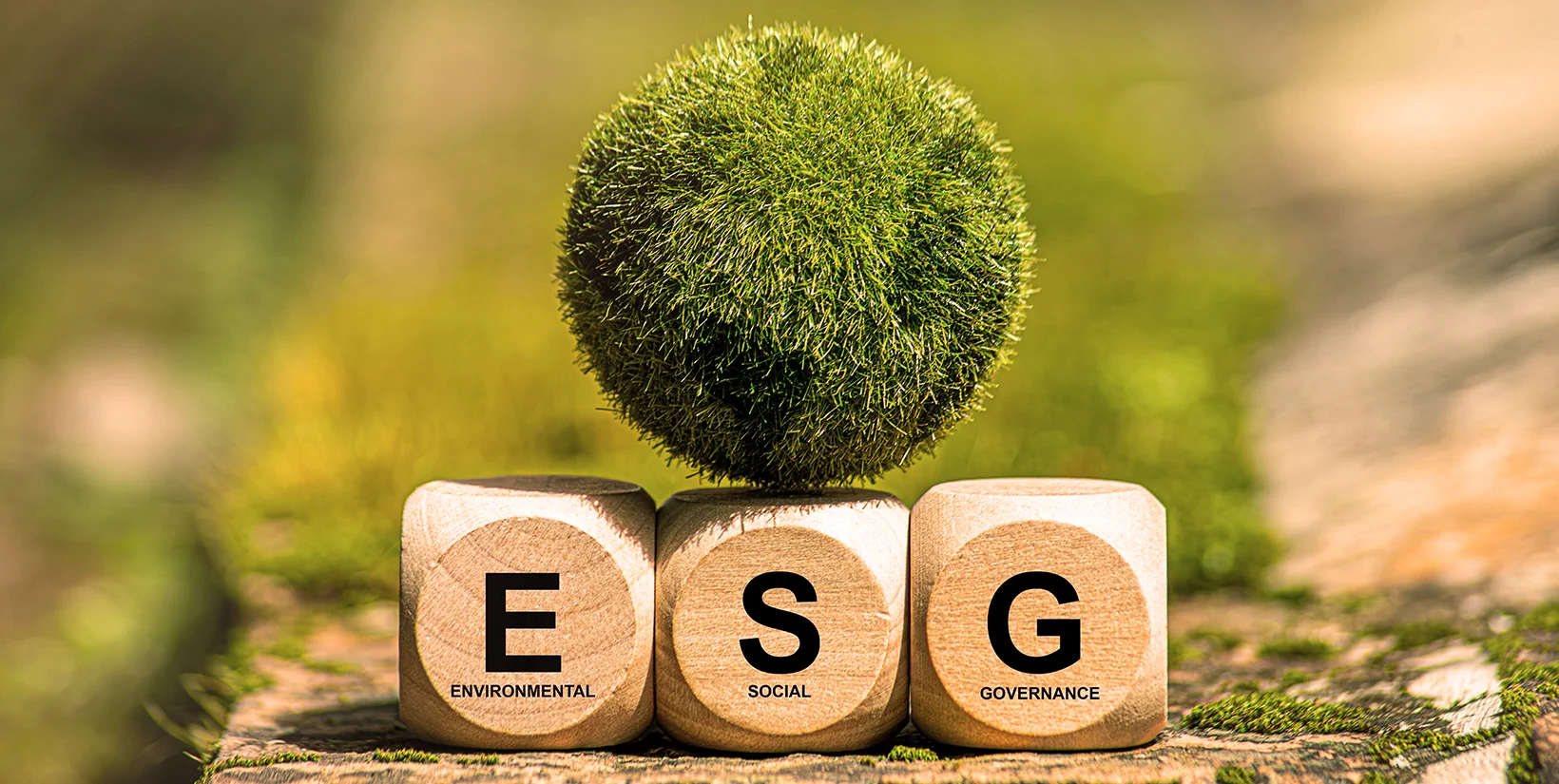 Wooden ESG blocks with a green globe, symbolising sustainable investing strategies, regulatory shifts, and long-term financial resilience in 2025.