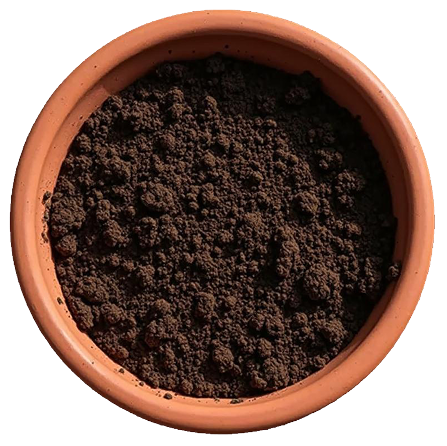 pot