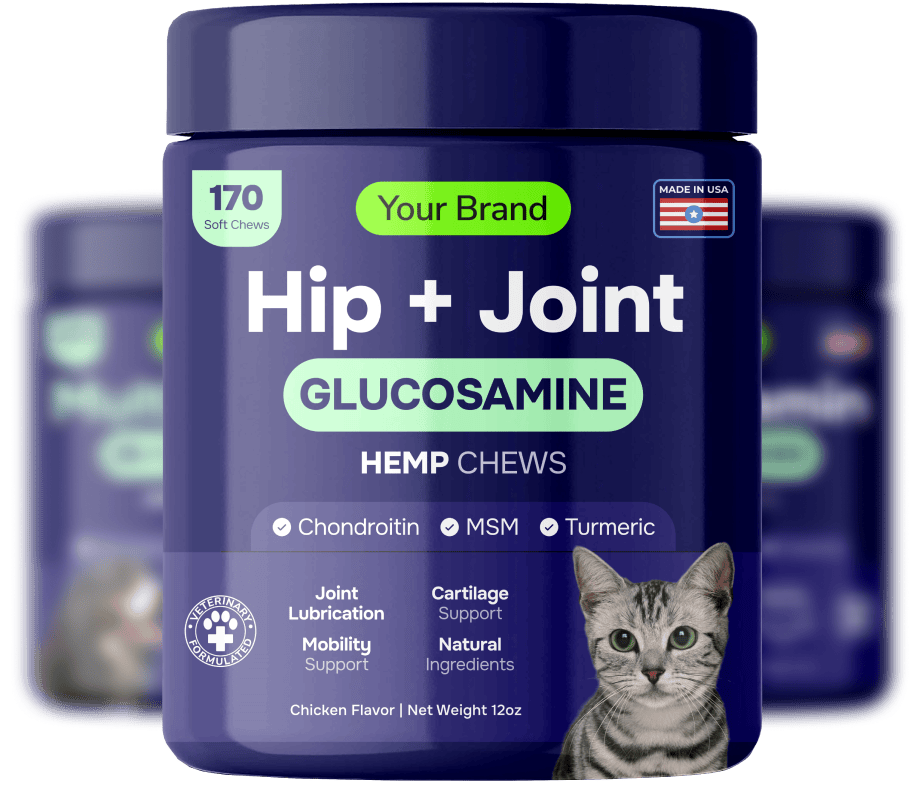 Bottles of glucosamine for dogs