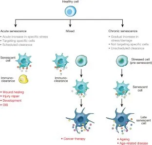 extended data figure 3, Picture