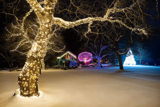 A snowy yard at night adorned with colorful Christmas lights, highlighting trees wrapped in glowing fairy lights and a beautifully illuminated house, creating a magical festive atmosphere.