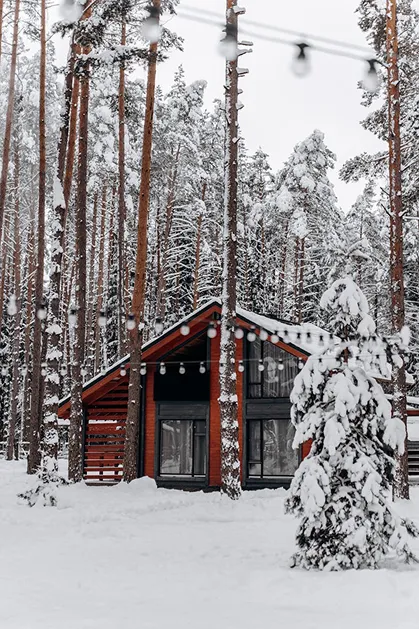 Snow-covered cabin surrounded by tall pine trees with Christmas lights hanging in the foreground, creating a festive and cozy winter scene.