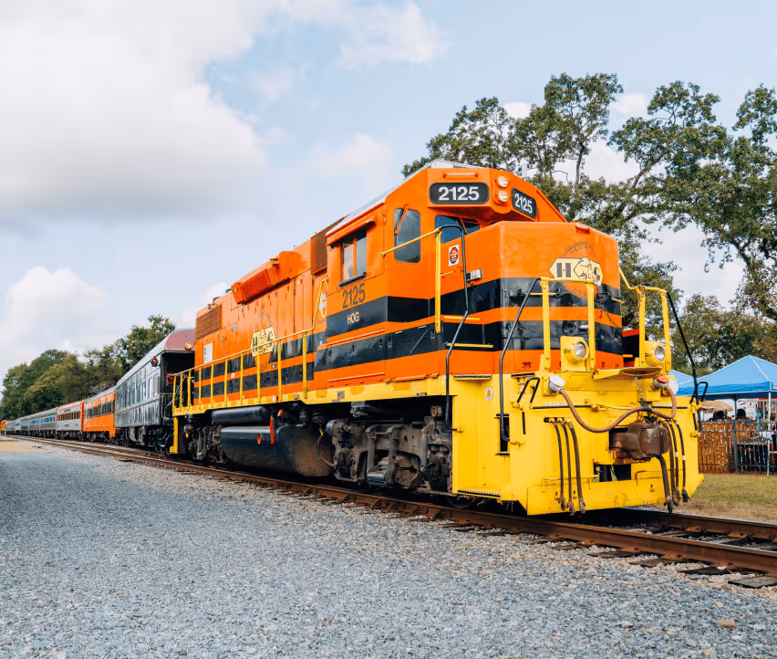 train ride past trips