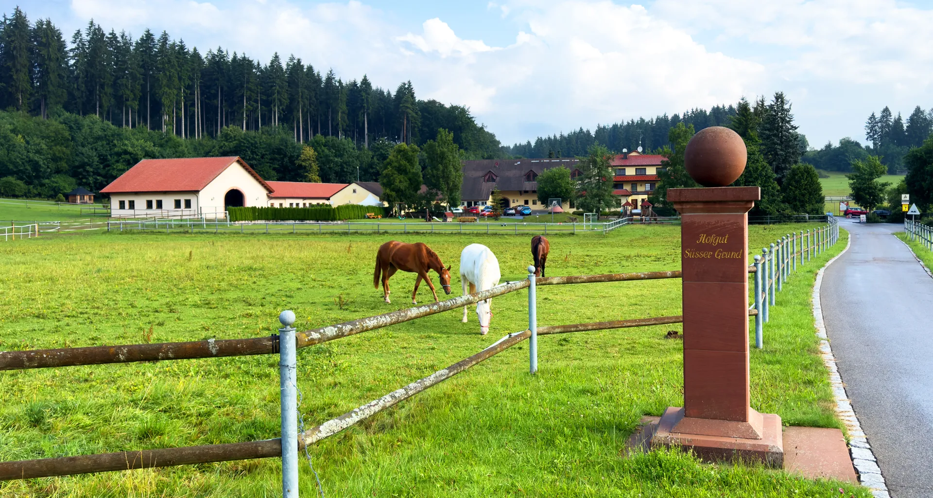 Wunderbar gelegen auf der schwäbischen Alb liegt das Hofgut Süßer Grund. Pferde auf einer saftigen Koppel