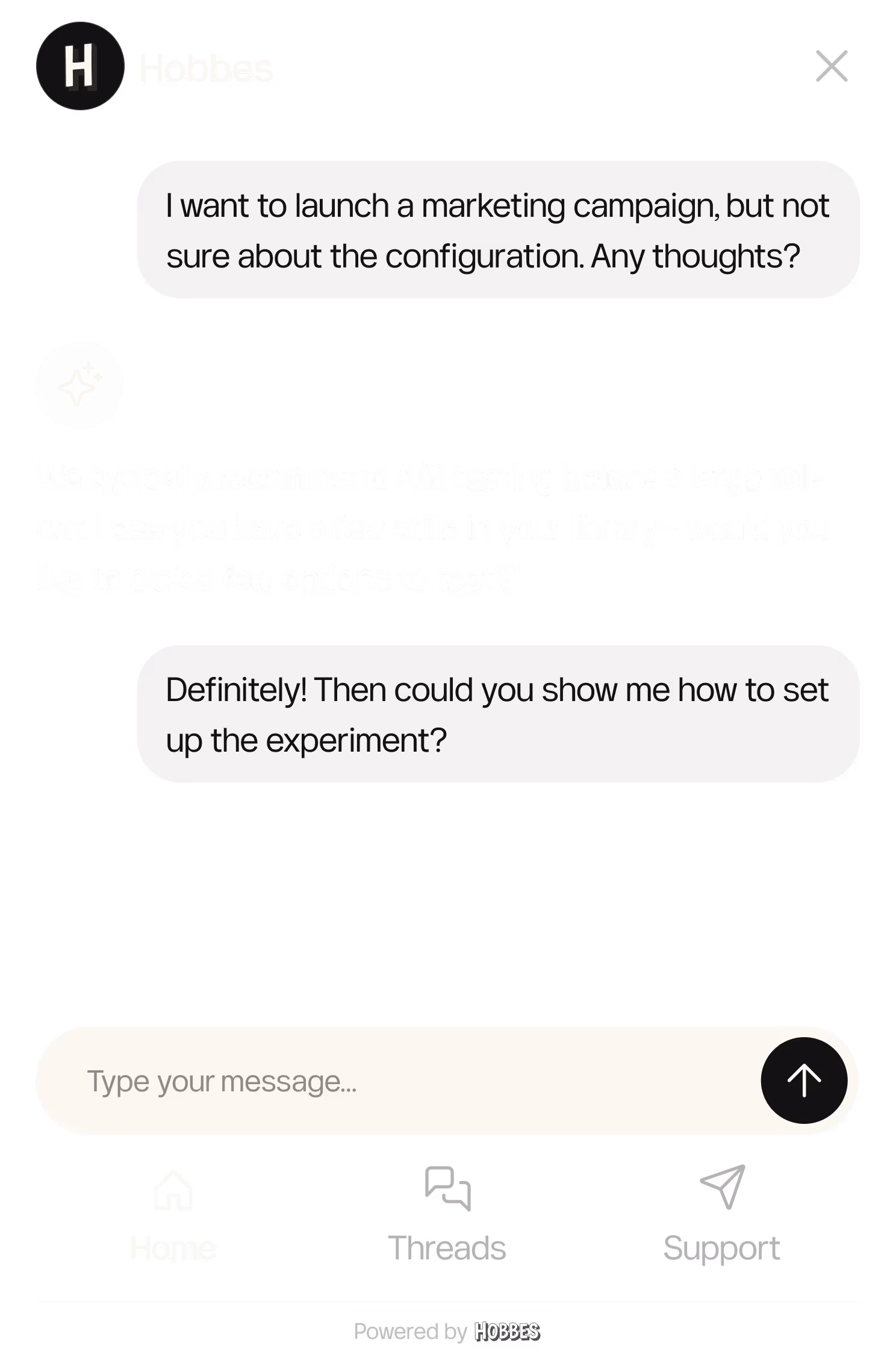 Hobbes agent advising users