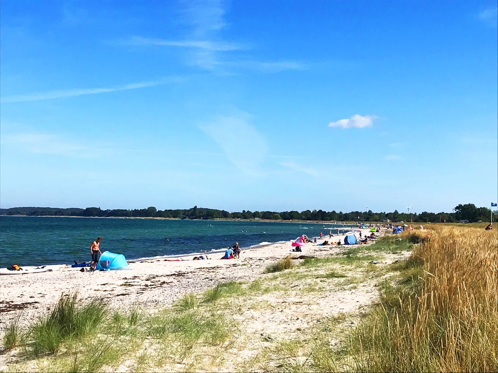 Møn Strandcamping – Campingplatz in Dänemark – Bild 5