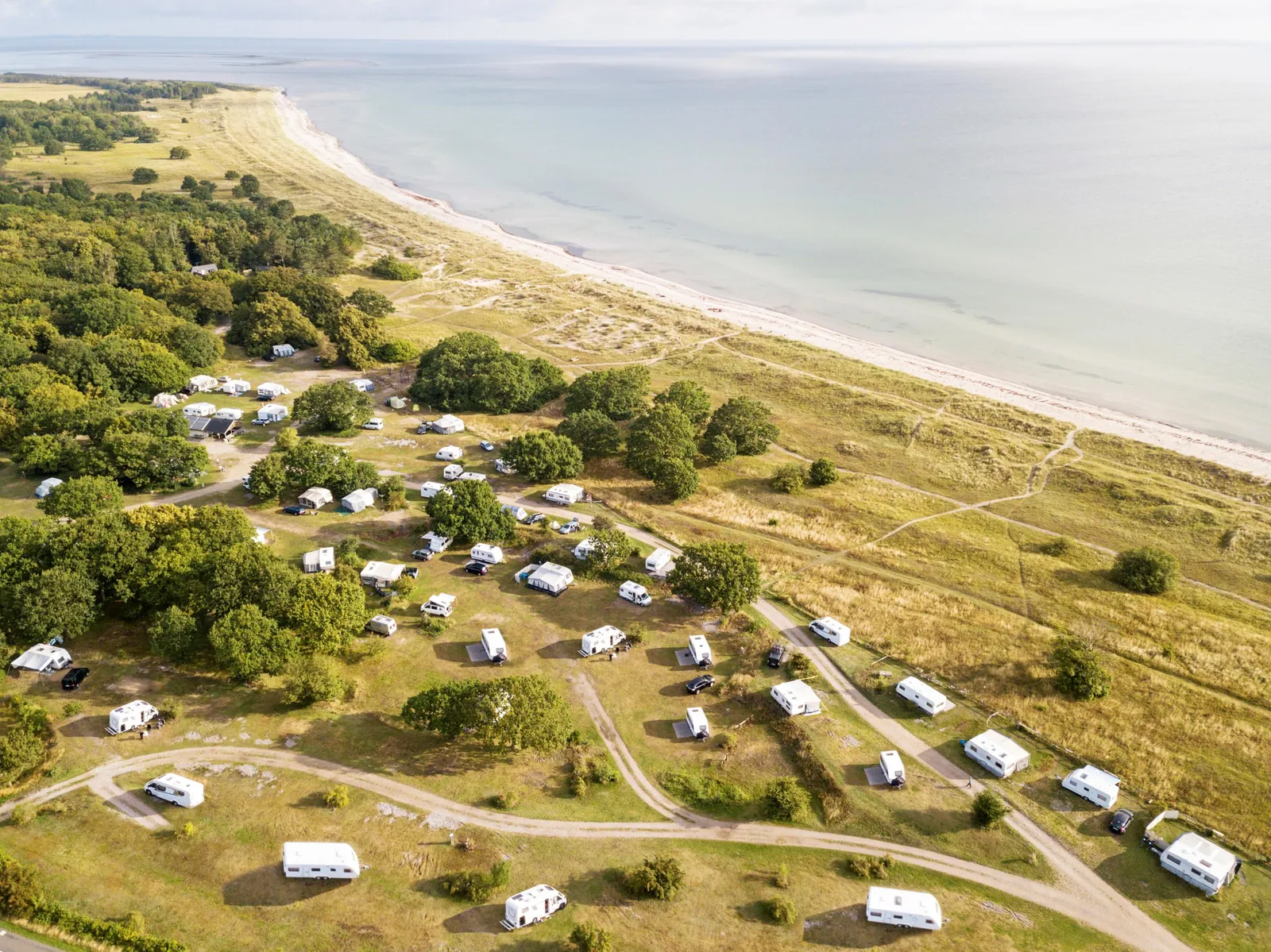 Møn Strandcamping – Campingplatz in Dänemark – Bild 4
