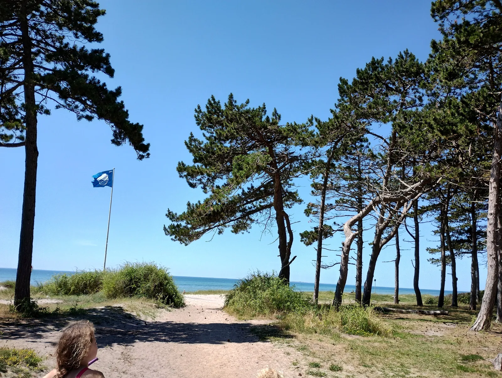 Bildsø Camping – Campingplatz in Dänemark – Bild 5