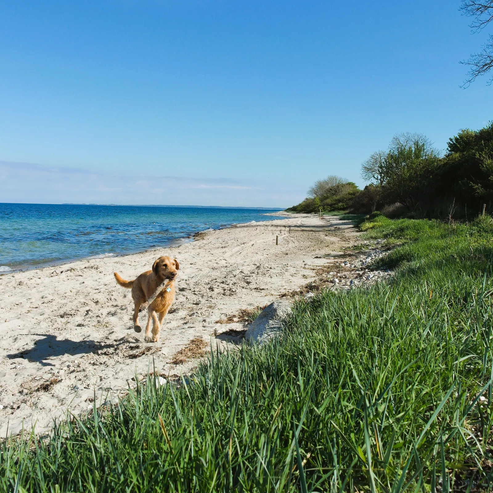 Tårup Strand Camping – Campingplatz in Dänemark – Bild 3