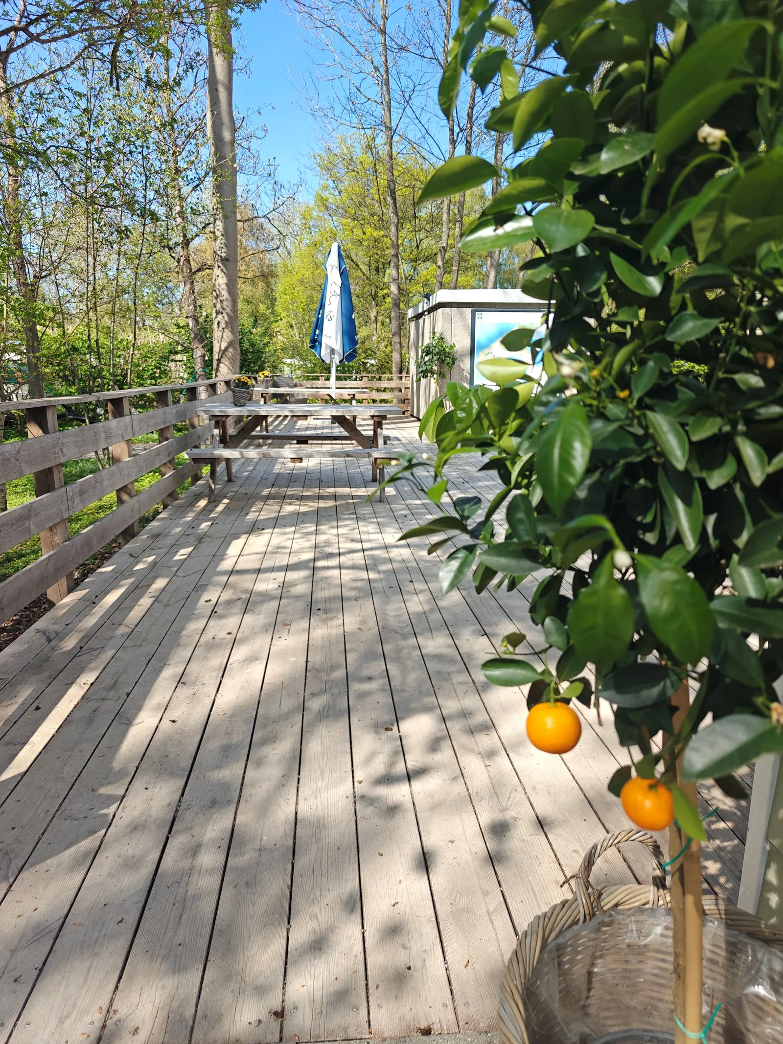 Frederiksværk Camping & Vandrerhjem – Campingplatz in Dänemark – Bild 4