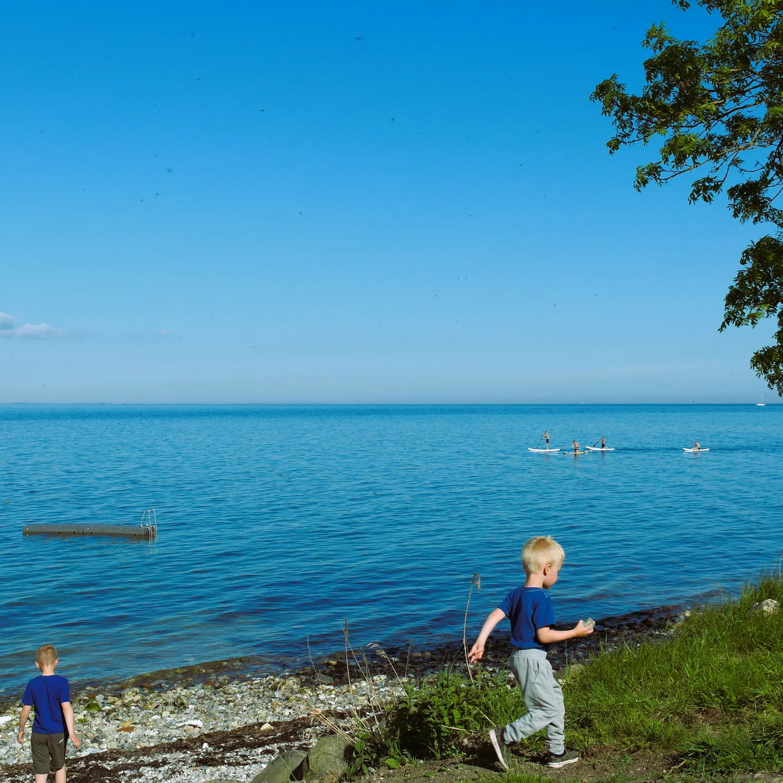 Tårup Strand Camping – Campingplatz in Dänemark – Bild 4