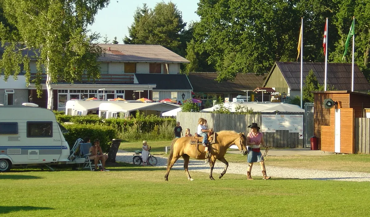 Hestehaven Camping – Campingplatz in Dänemark