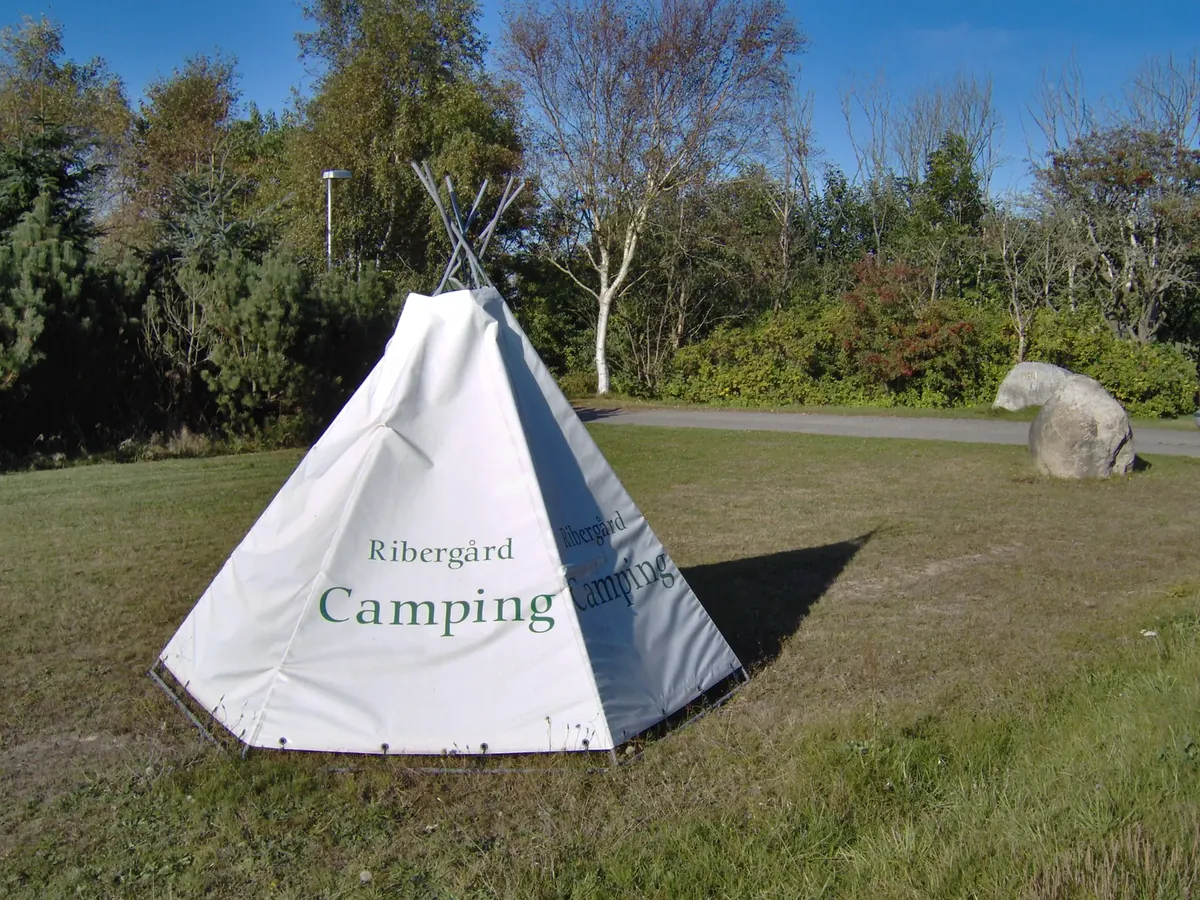 Ribergaard Camping – Campingplatz in Dänemark