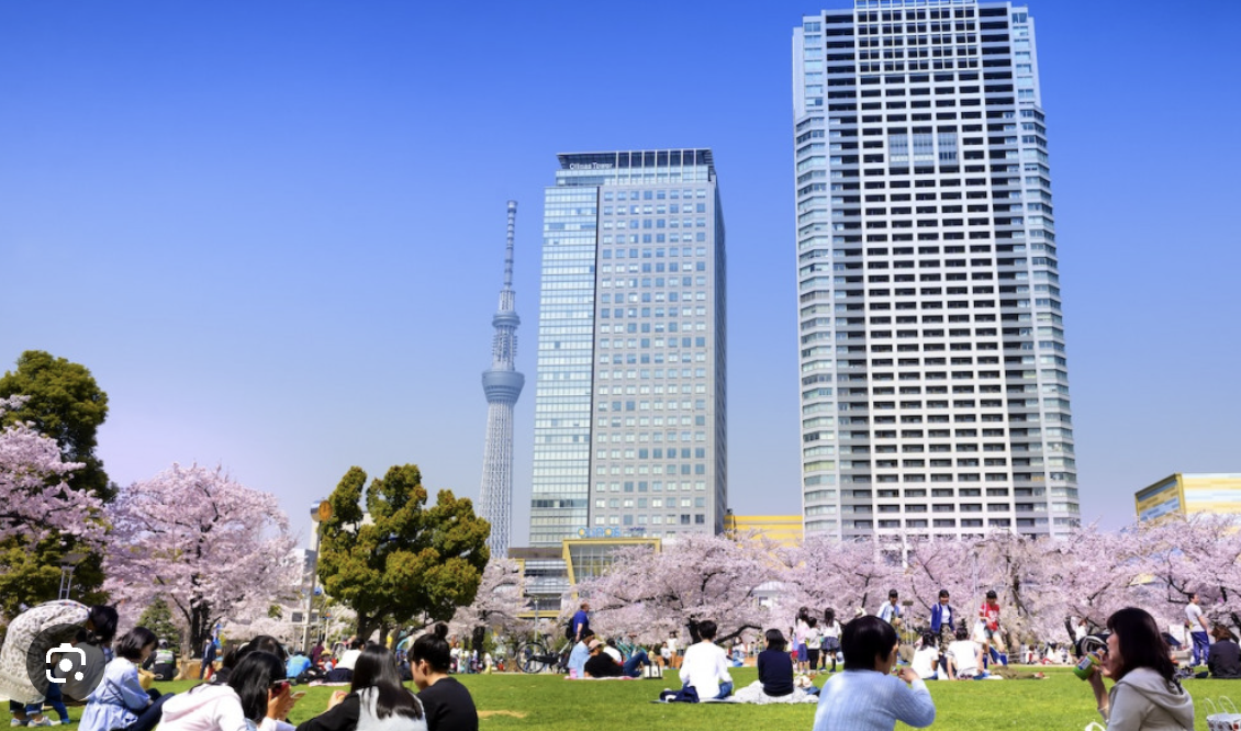 Kinshi Park