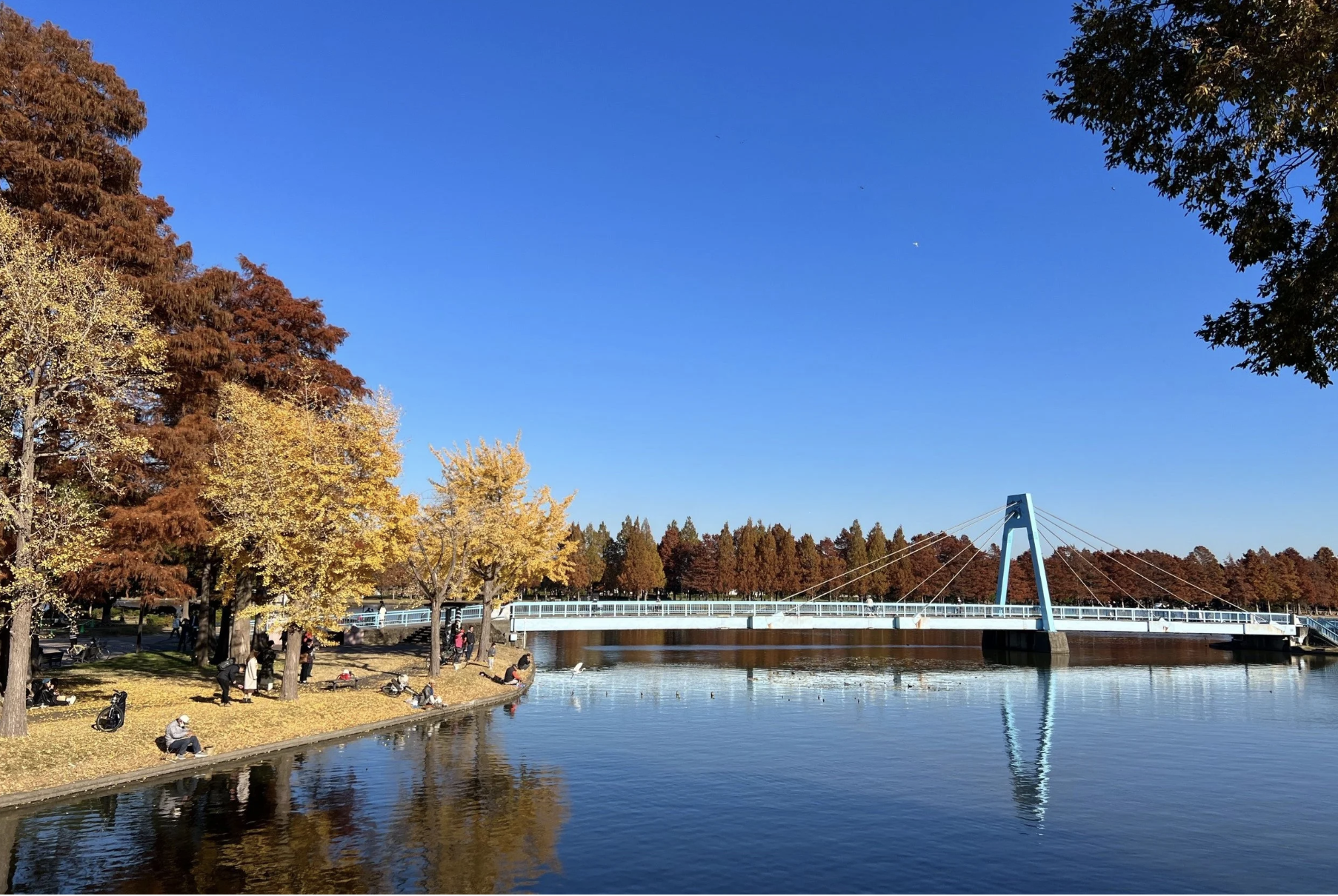 Mizumoto Park
