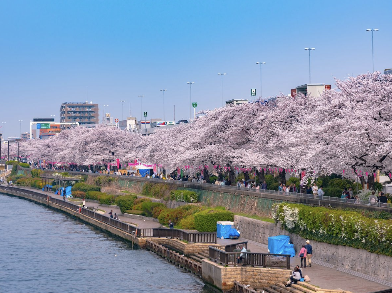 Sumida River Terrace