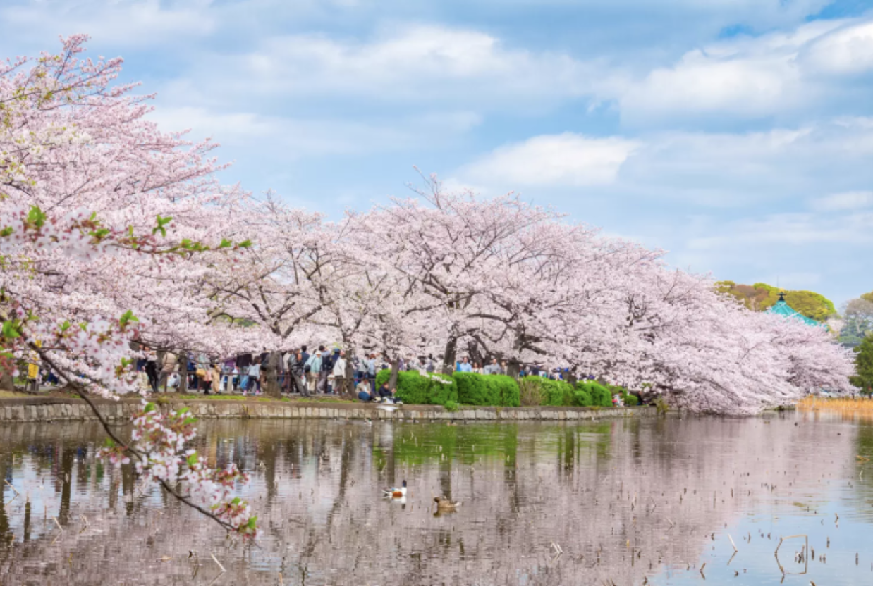 上野公園
