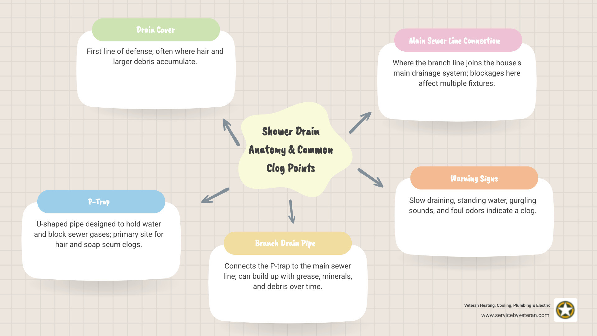 Infographic showing the anatomy of a shower drain system, including the drain cover, P-trap, drain pipe, main sewer line connection, and common clog points where hair and soap scum accumulate, plus warning signs like slow draining and standing water - "My shower isn't draining. Who can I call for drain cleaning in Arvada?" infographic mindmap-5-items
