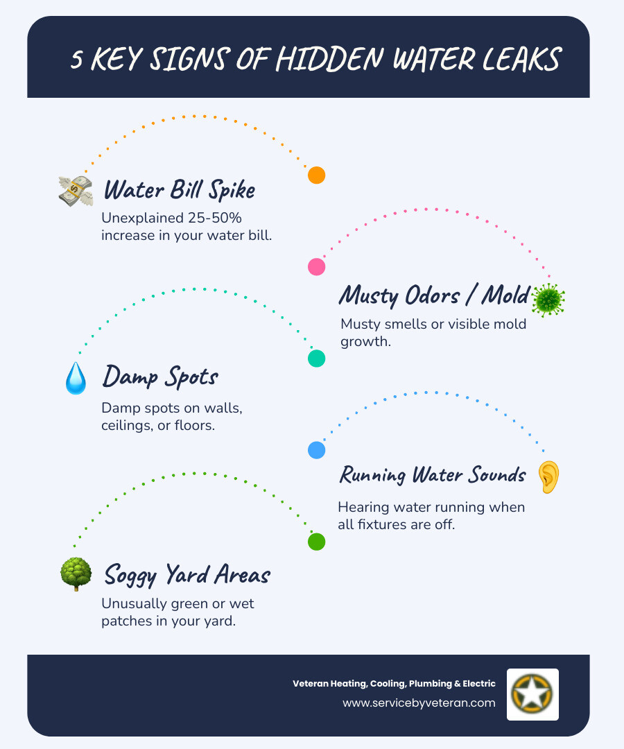 Infographic showing five key signs of hidden water leaks in Denver homes: unexplained water bill increases of 25-50 percent, musty odors and mold growth in dry climate conditions, damp spots on walls or ceilings, sounds of running water when fixtures are off, and unusually green or soggy yard patches in arid landscape - denver hidden water leak warning signs infographic-line-5-steps-blues-accent_colors Infographic showing five key signs of hidden water leaks in Denver homes: unexplained water bill increases of 25-50 percent, musty odors and mold growth in dry climate conditions, damp spots on walls or ceilings, sounds of running water when fixtures are off, and unusually green or soggy yard patches in arid landscape - denver hidden water leak warning signs infographic-line-5-steps-blues-accent_colors