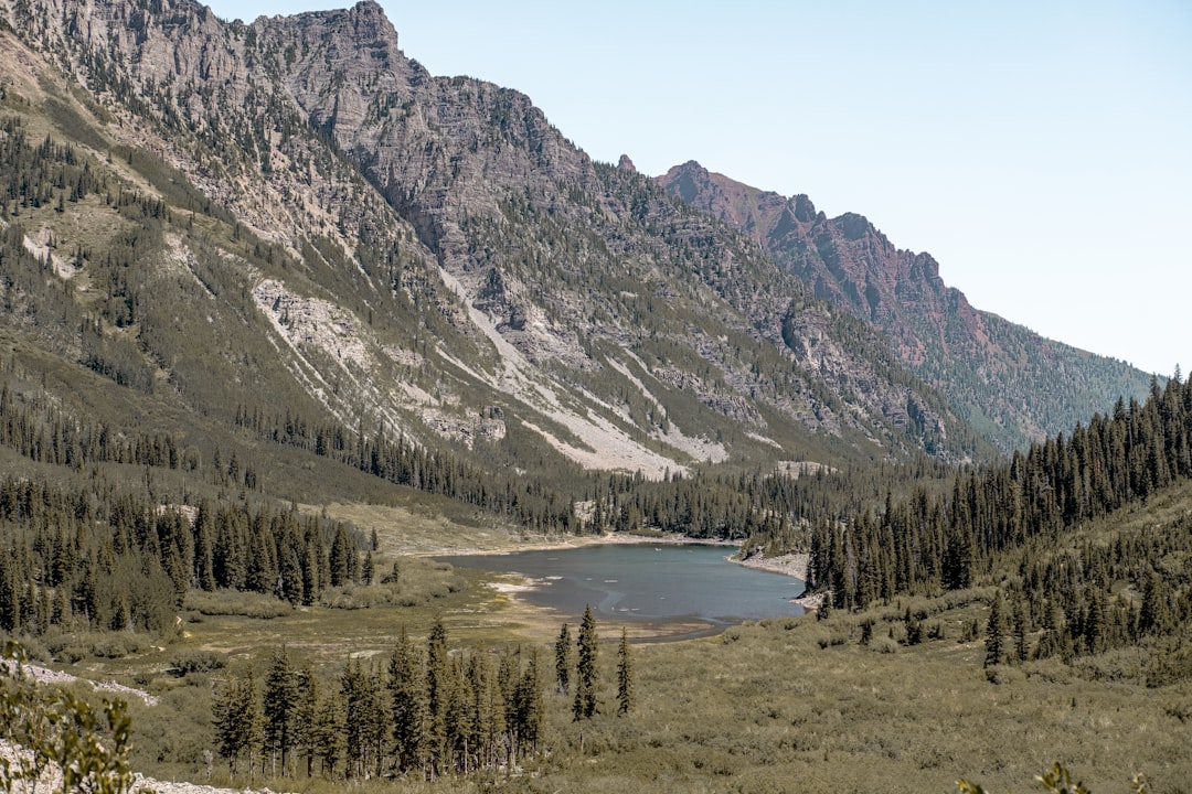 Is Your Denver Water the Best? A Guide to Top Filtration Options