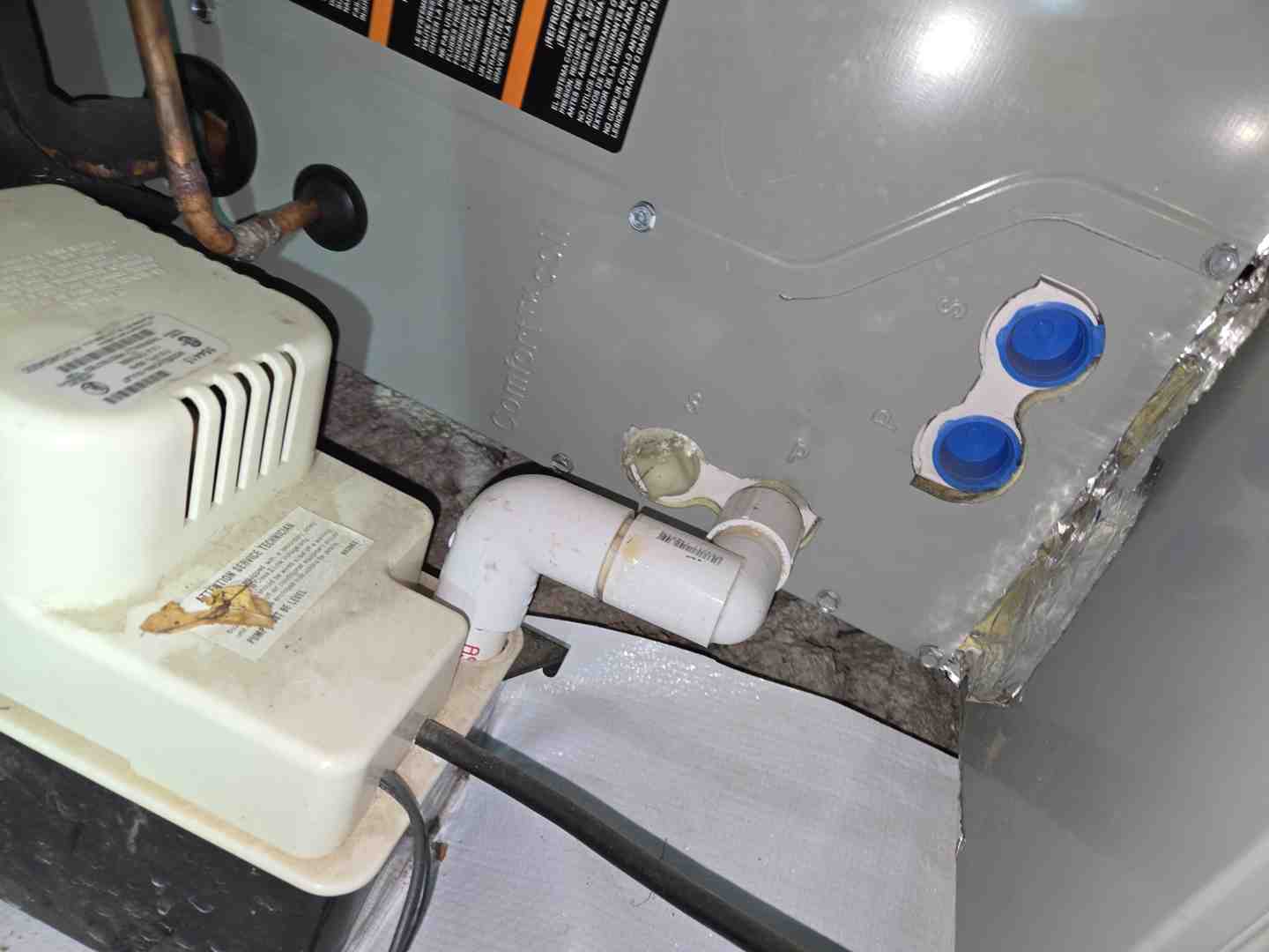 professional plumber inspecting a Denver home drainage system with clogged pipes - best clogged drain in denver, co