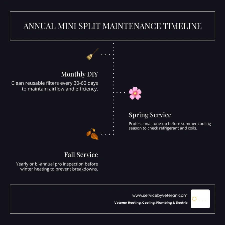 Annual mini split maintenance timeline infographic showing monthly DIY tasks and seasonal professional service intervals