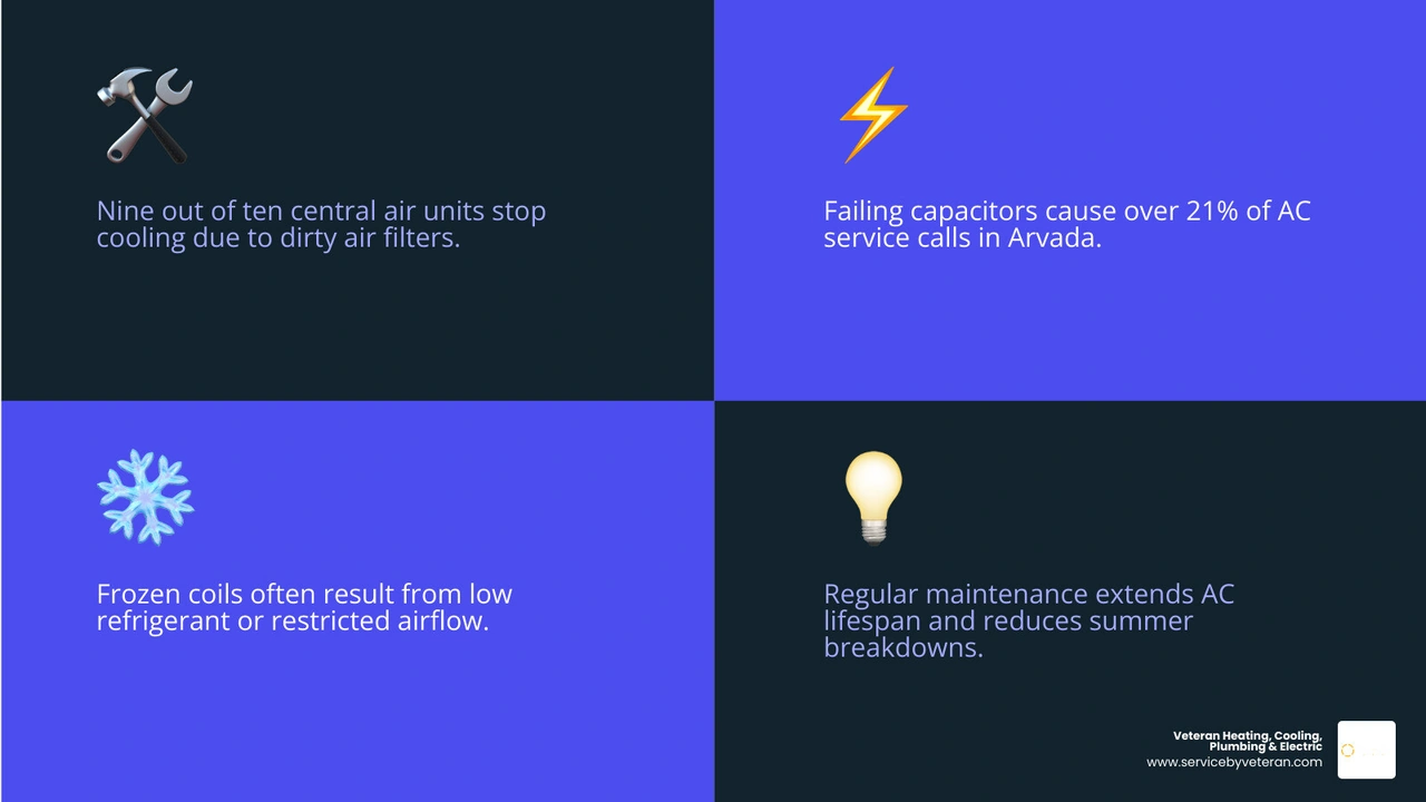 Infographic showing 7 most common AC repairs and their causes from dirty filters to electrical failure infographic