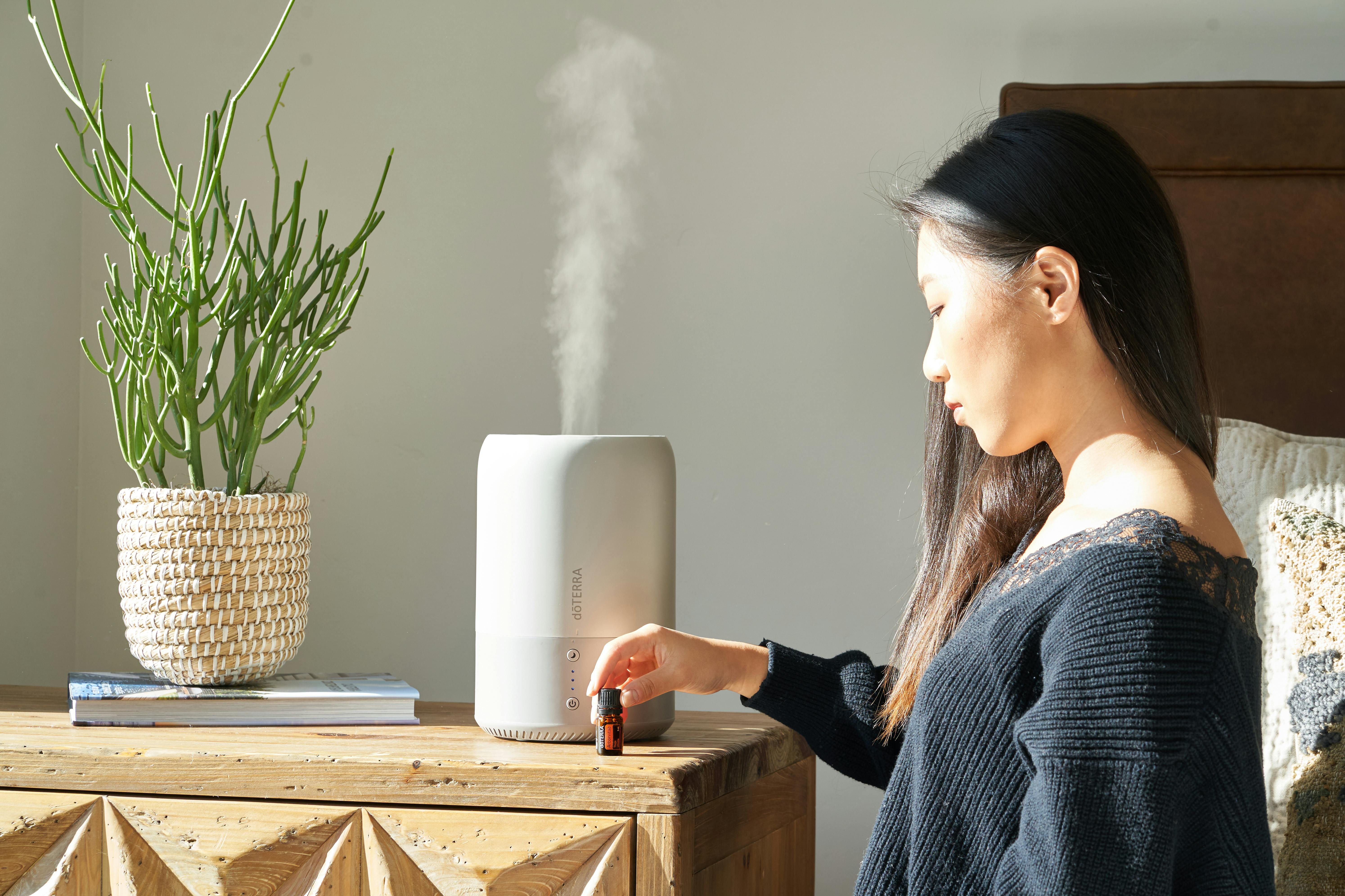 Whole House Humidifiers in Hainesville