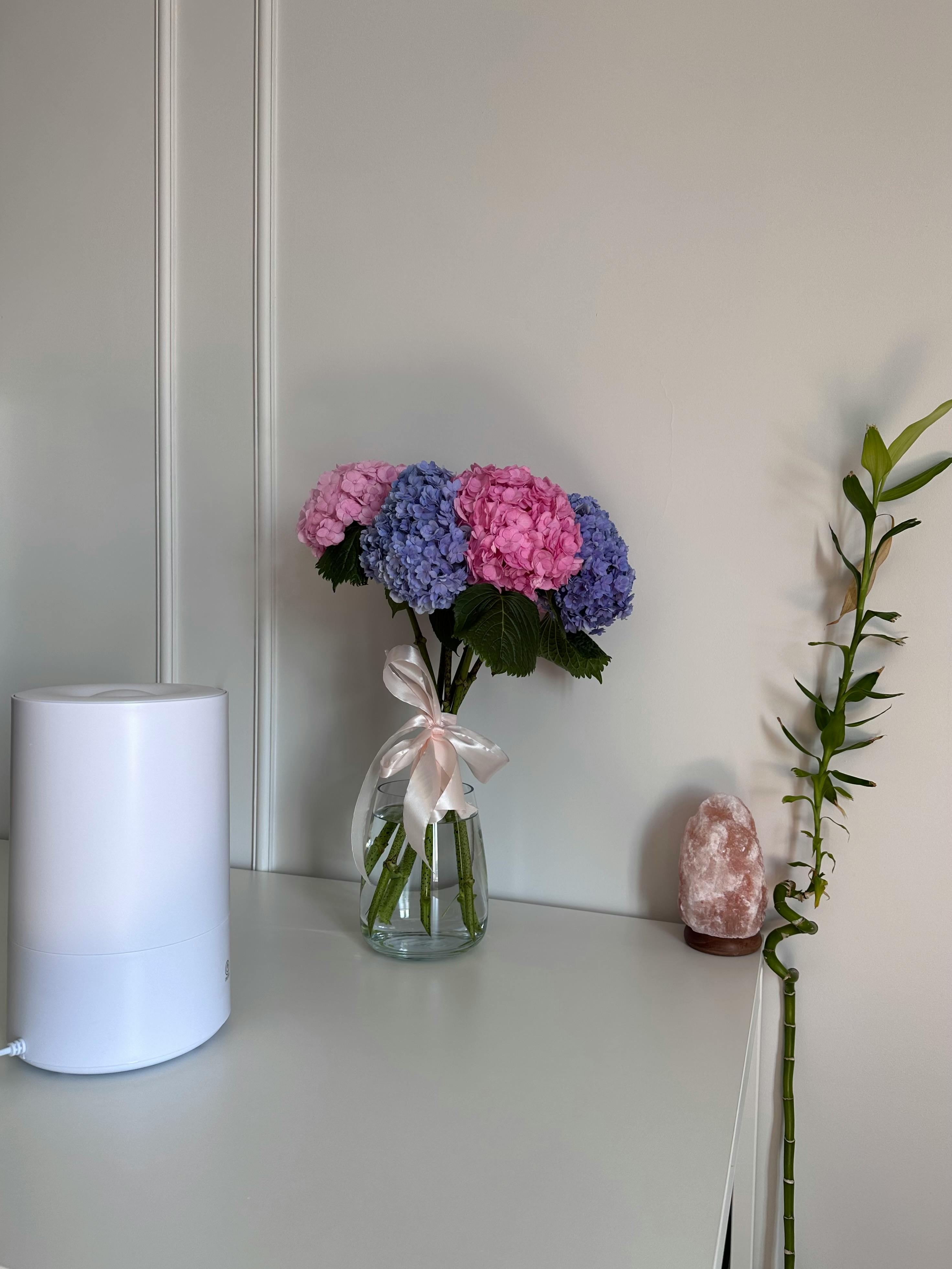 Whole House Air Purification in Lincolnshire