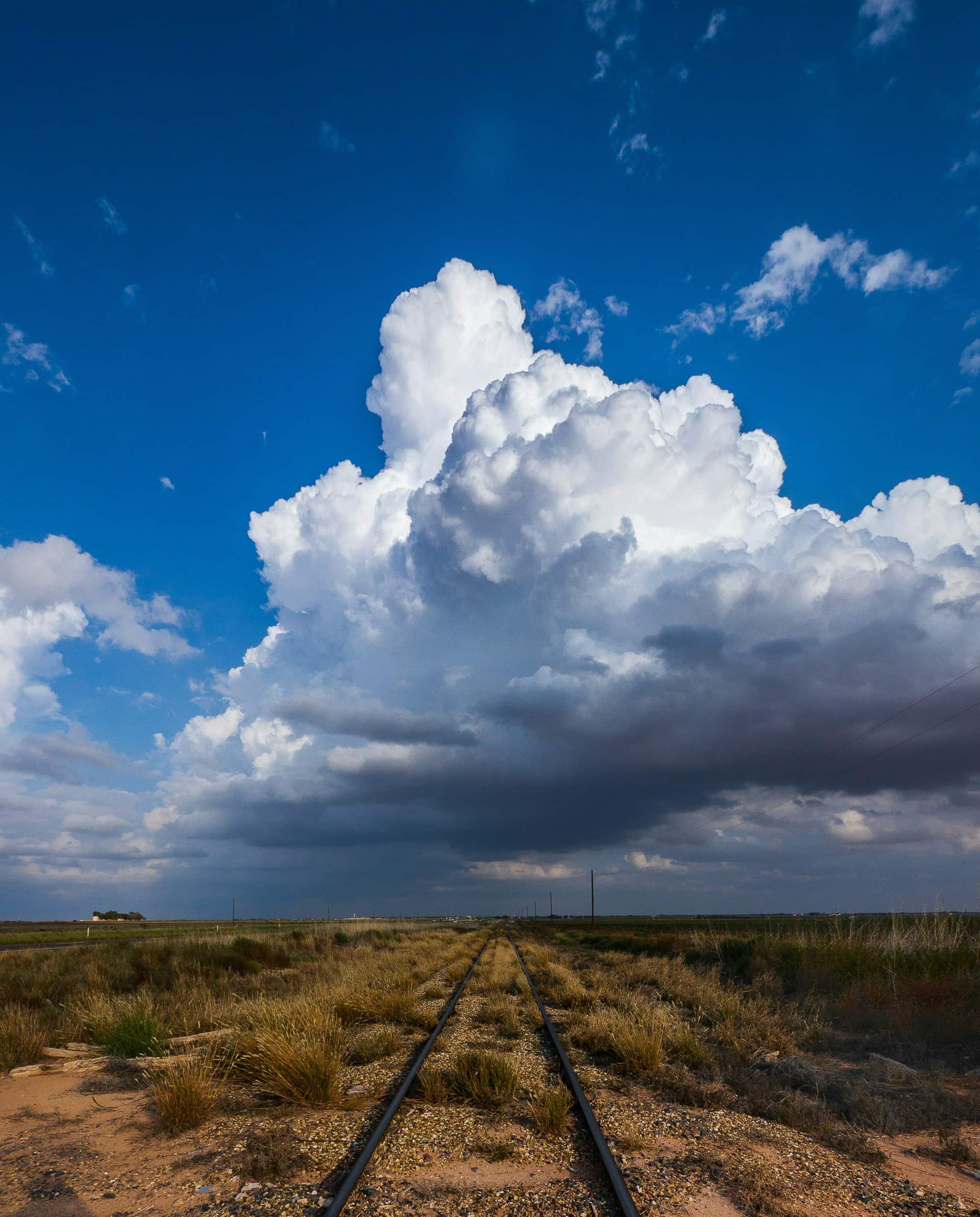 Water.Day_cumulus clouds over a field