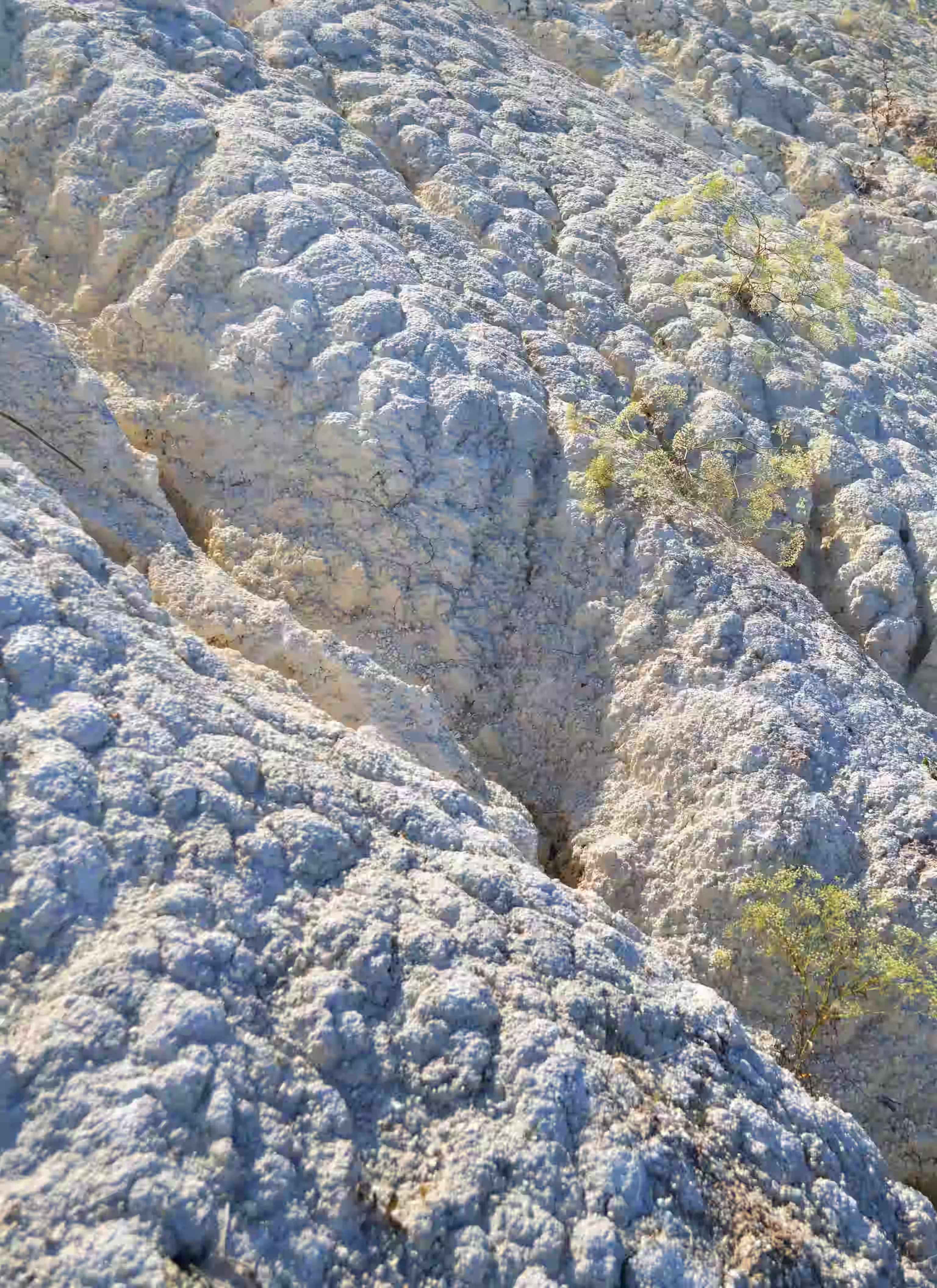 Water.Day_minerals in water