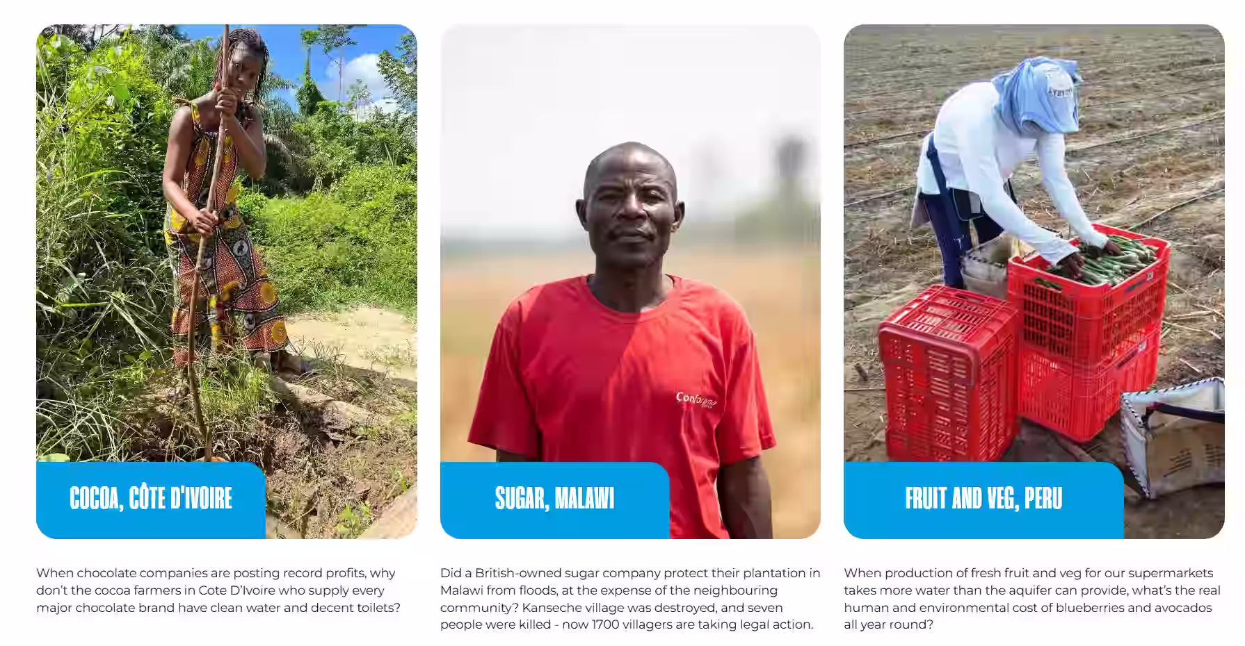 Water.Day_Water Witness_Case study