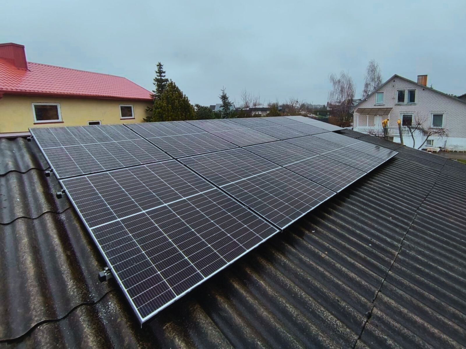 image of the director at a film festival