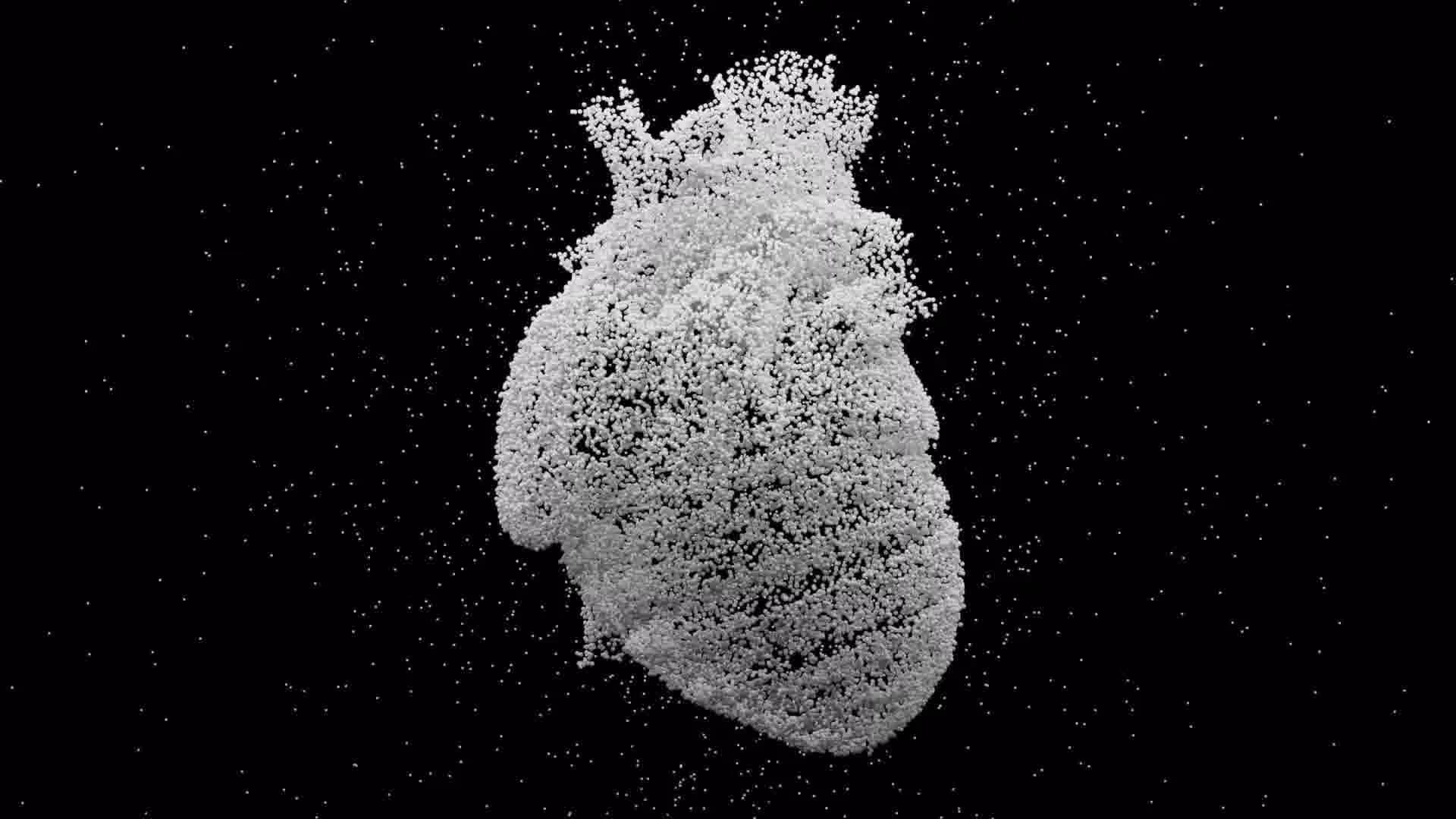 3D illustration of a human heart composed of numerous small white spheres against a black background.