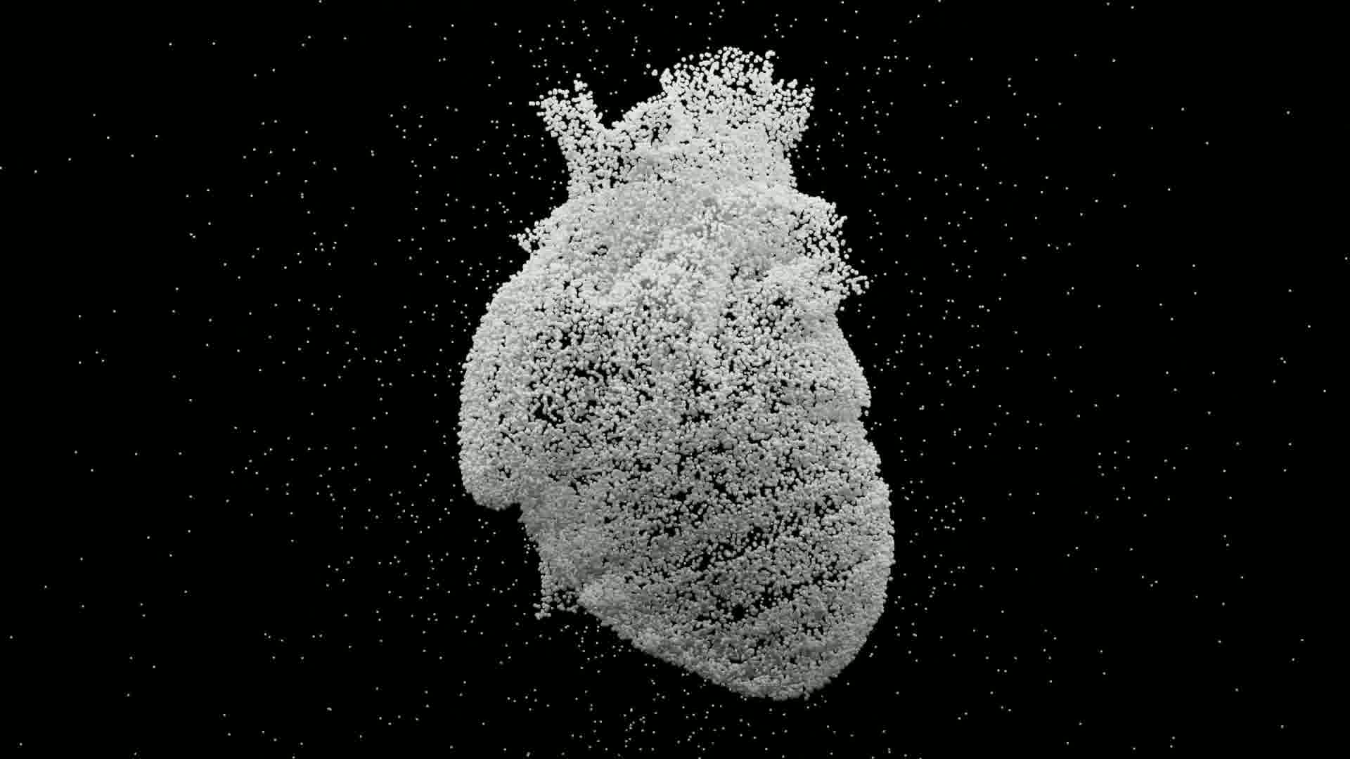 3D illustration of a human heart composed of numerous small white spheres against a black background.