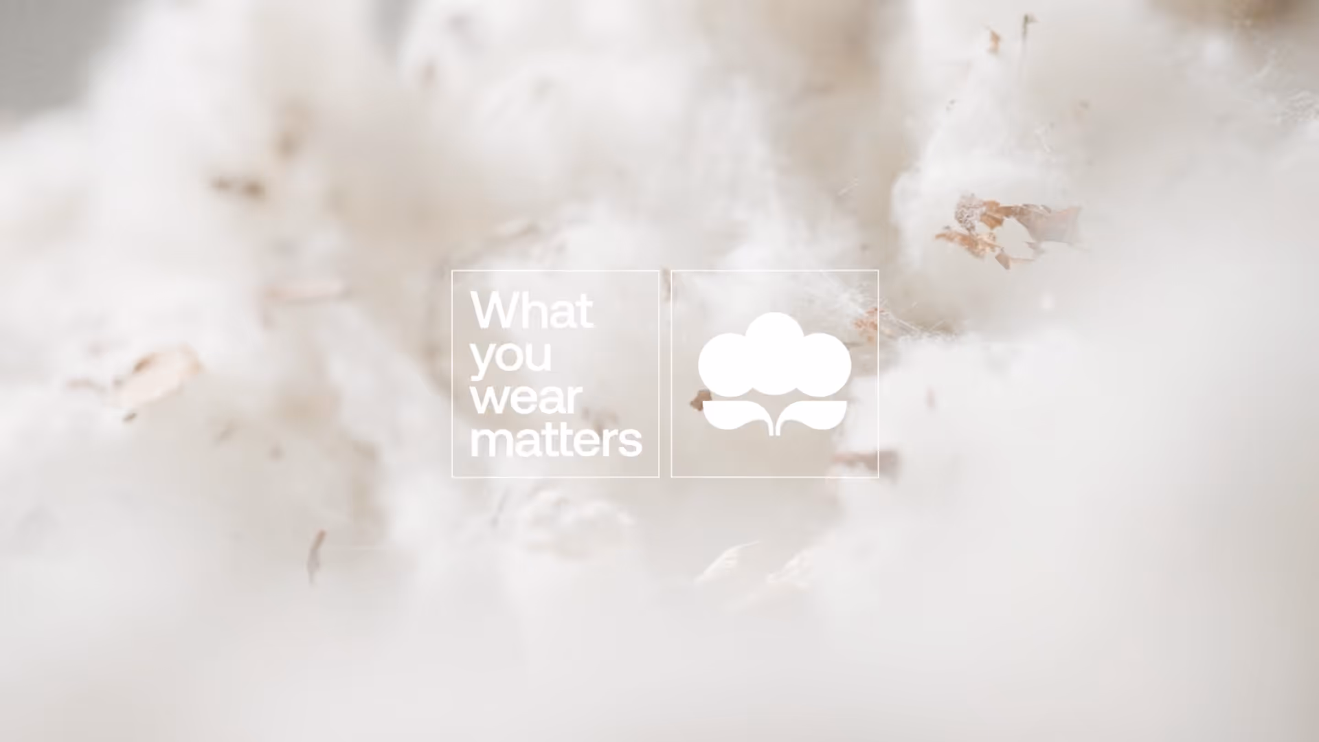 Close-up of white cotton fibers with overlay text 'What you wear matters' and a cotton plant icon.