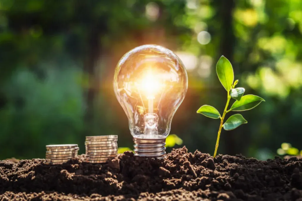 Nachhaltig investieren lohnt sich