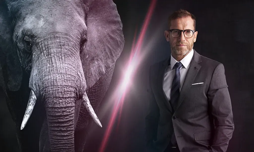 Wenn ein Elefant keine Wirecard-Aktien kauft.