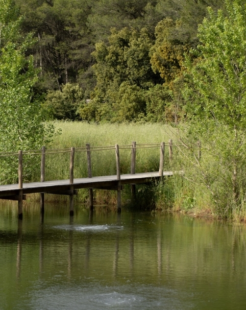 Pontoon on the water of the Mas des Prêcheurs hotel, in Tarascon in Provence, wooden access in a natural and soothing environment.