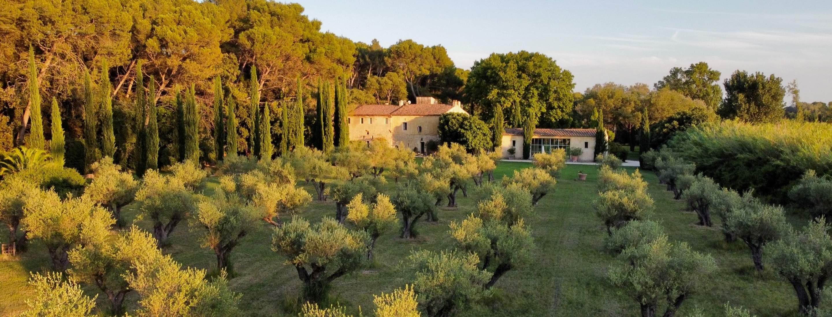 Vue d’ensemble de la façade du Mas des Prêcheurs et de son jardin, dans les Alpilles, bâtisse de charme entourée d’un extérieur verdoyant et aménagé.