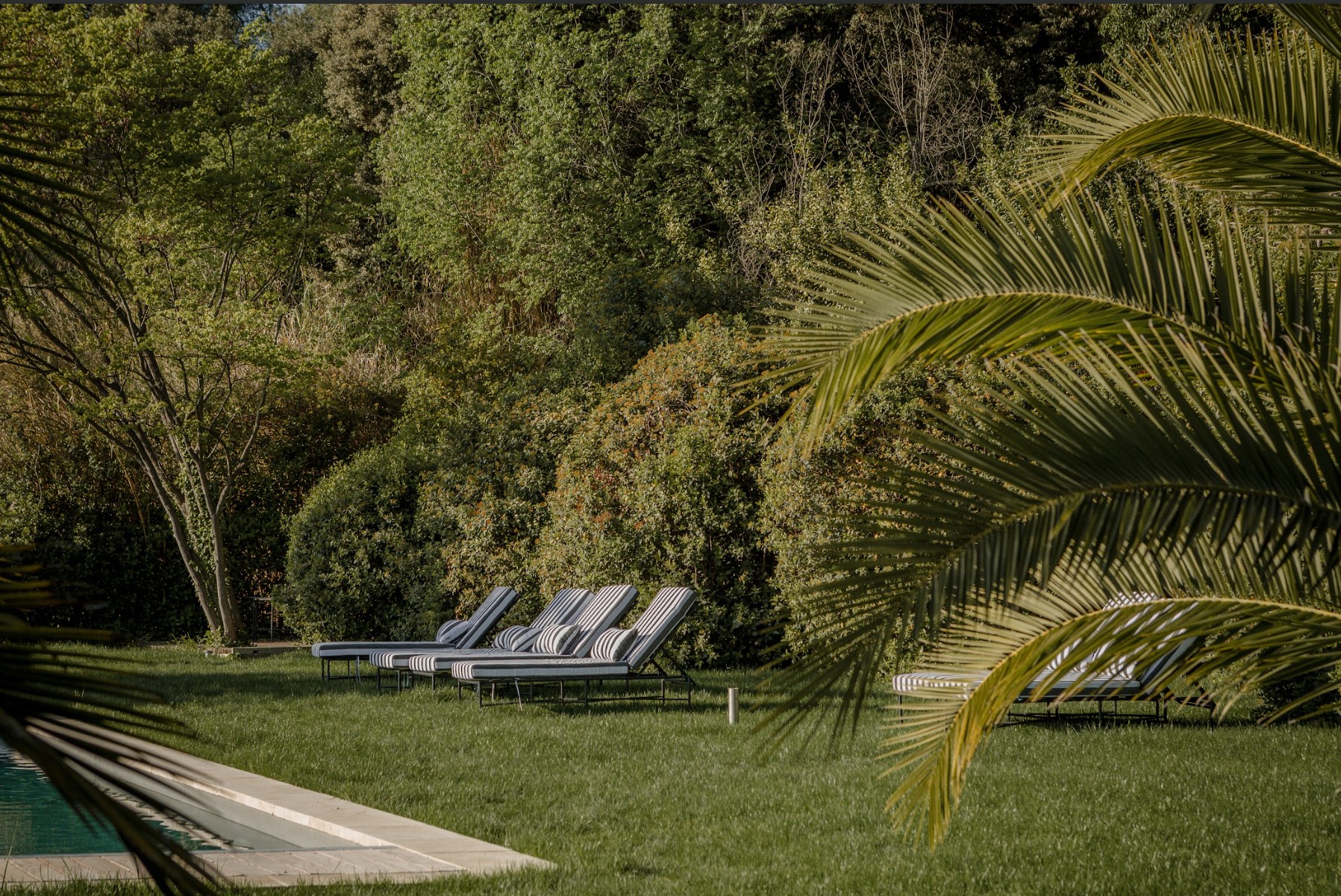 Transats dans le jardin du Mas des Prêcheurs, en Provence, espace de détente au cœur d’un cadre naturel et paisible.
