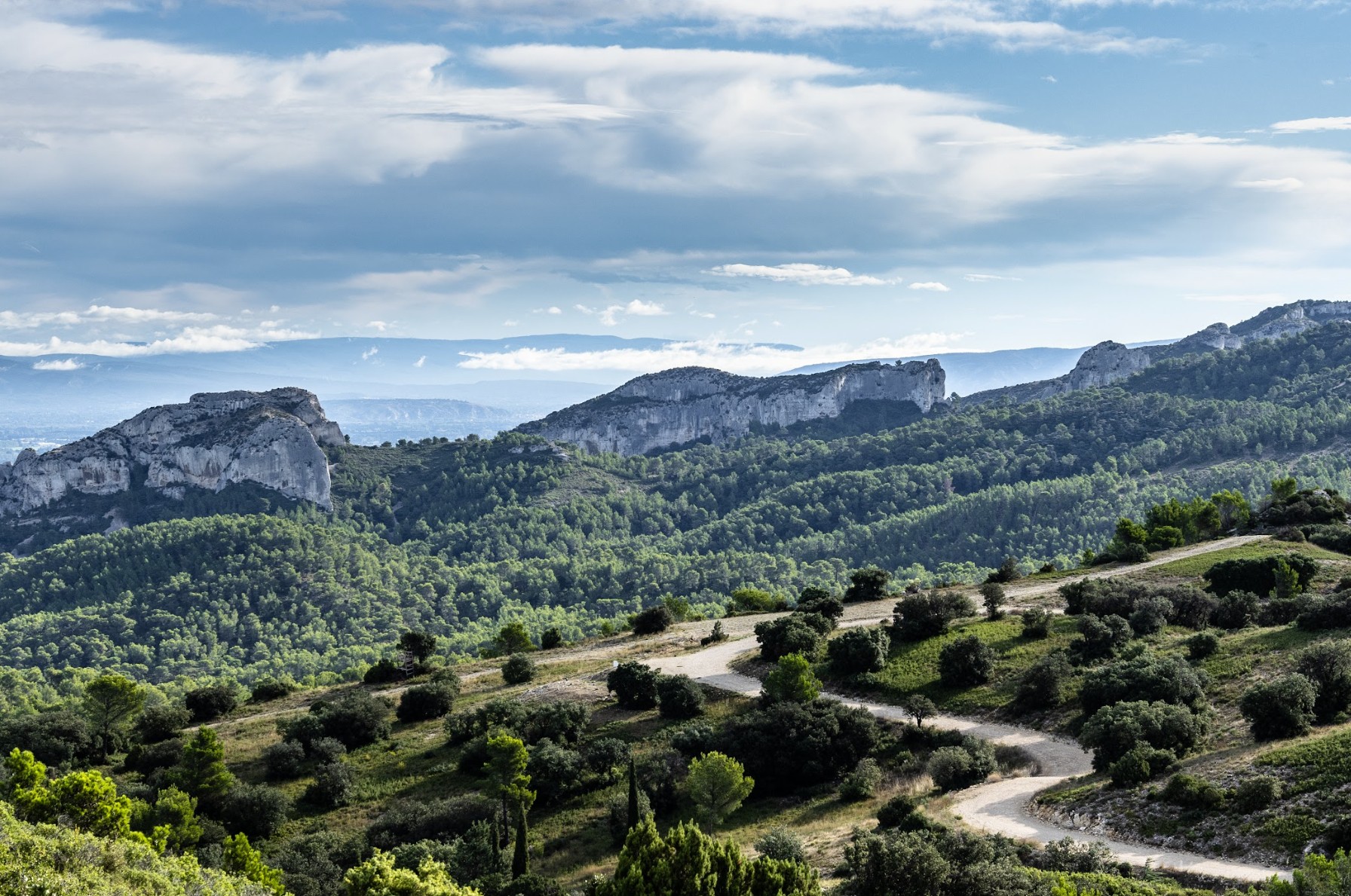 Paysage naturel autour du Mas des Prêcheurs, dans les Alpilles, environnement préservé entre végétation, lumière et calme provençal.