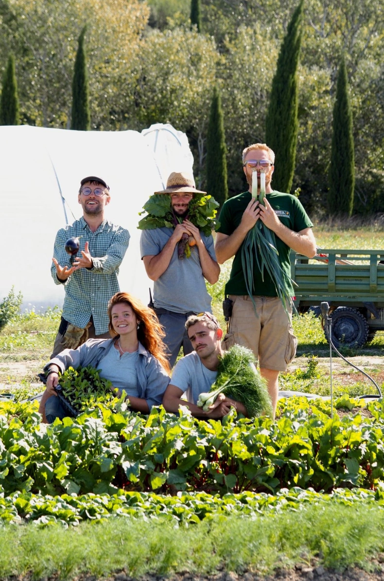 Vegetable garden at the Mas des Prêcheurs hotel, in Tarascon in Provence, rows of vegetables and aromatic herbs in a natural setting.