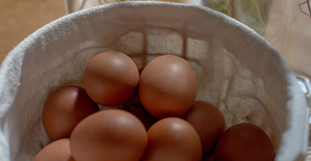 Eggs from the hotel Mas des Prêcheurs, in Tarascon in Provence, in Tarascon in Provence, fresh products highlighted in an authentic and natural atmosphere.